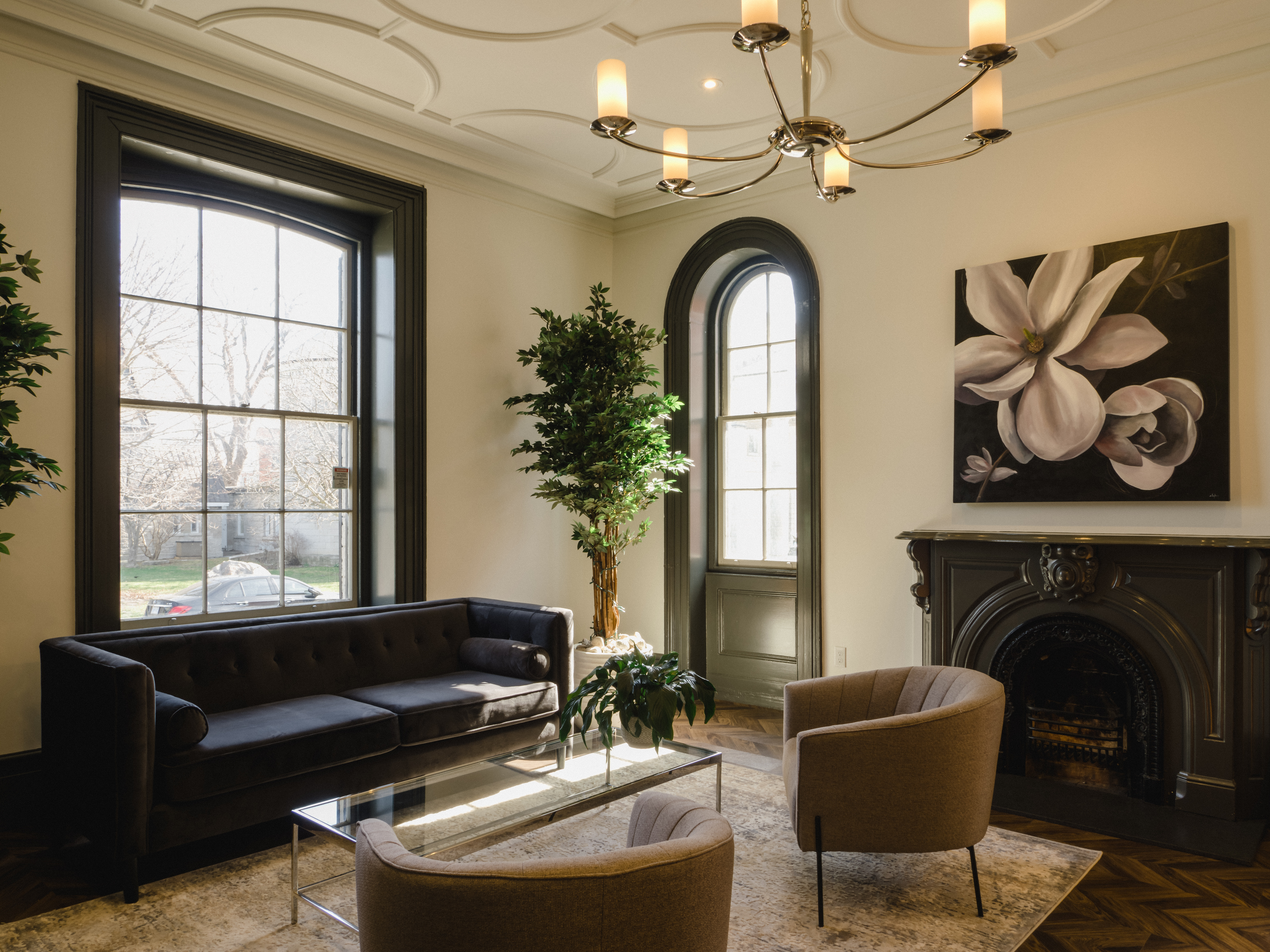 Commercial renovation showcasing high ceilings and period architecture
