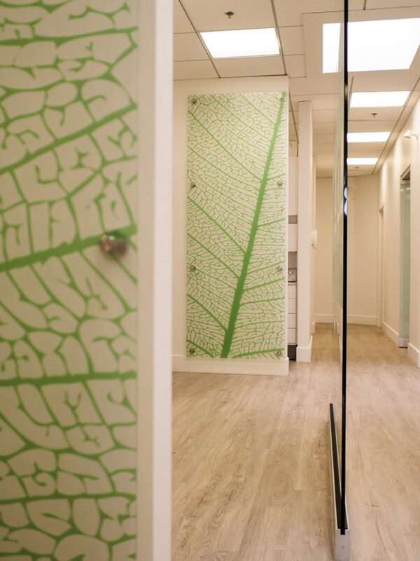 Hallway lined with custom leaf-print artwork and frameless glass partitions.