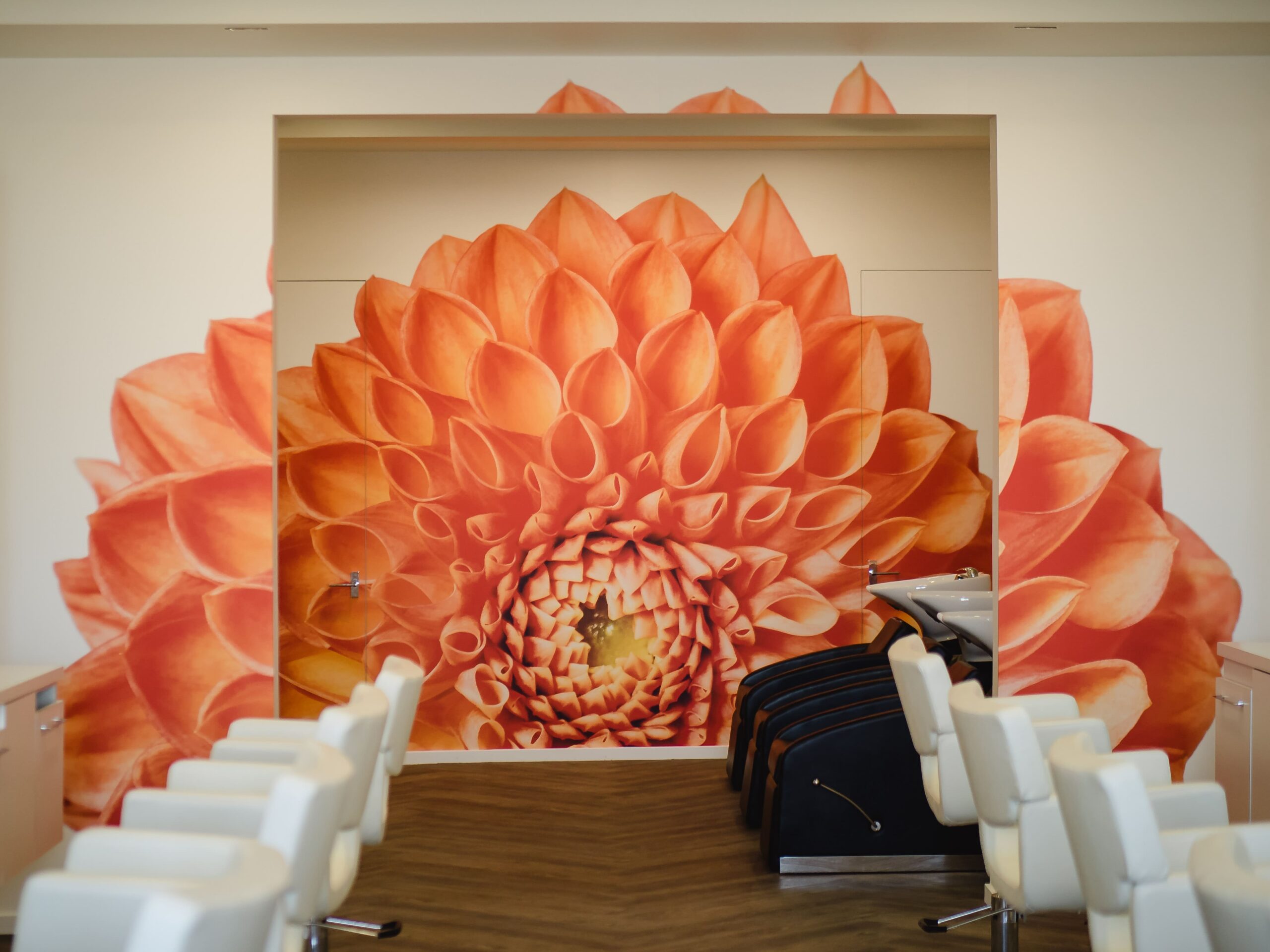 vivid orange dahlia mural